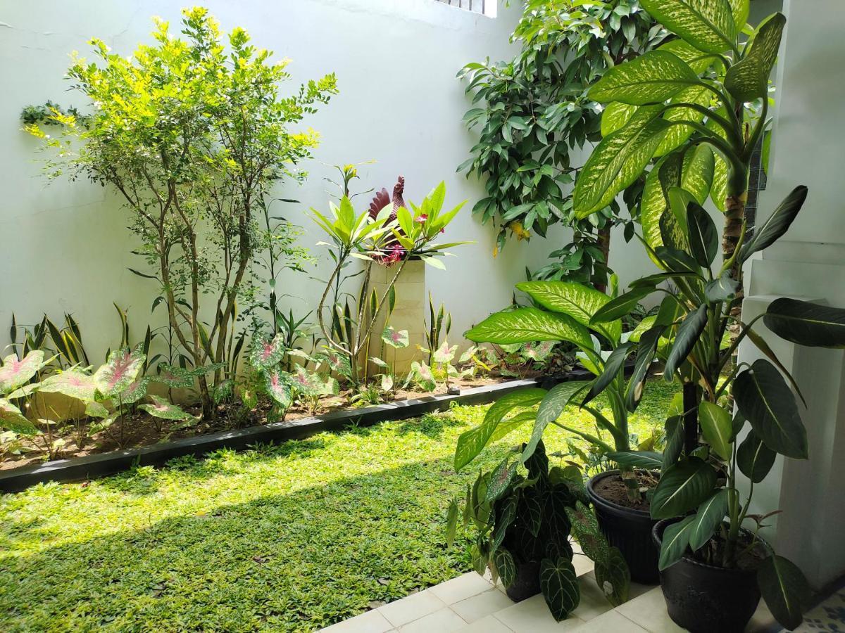 Griya Asih Hotel Yogyakarta Exterior photo